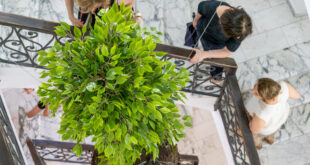 Un autunno ricco di eventi al MAN di Nuoro