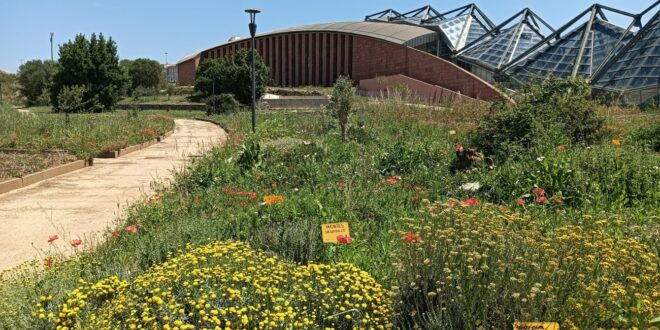 orto botanico di sassari